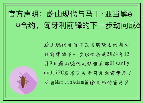 官方声明：蔚山现代与马丁·亚当解除合约，匈牙利前锋的下一步动向成谜