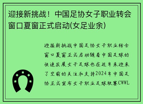 迎接新挑战！中国足协女子职业转会窗口夏窗正式启动(女足业余)