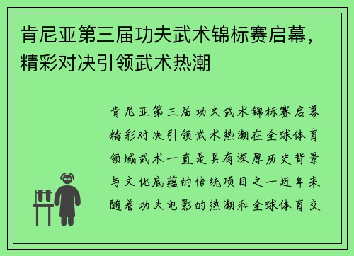 肯尼亚第三届功夫武术锦标赛启幕，精彩对决引领武术热潮