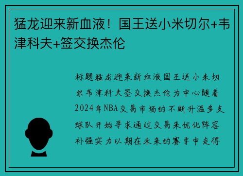 猛龙迎来新血液！国王送小米切尔+韦津科夫+签交换杰伦