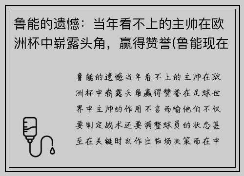 鲁能的遗憾：当年看不上的主帅在欧洲杯中崭露头角，赢得赞誉(鲁能现在的主帅是谁)